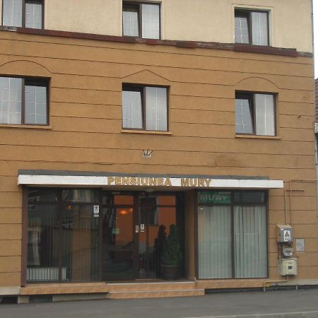 Pensiunea Mury Brašov Exteriér fotografie